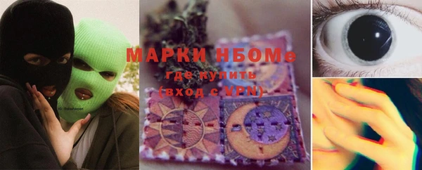 метадон Алексин