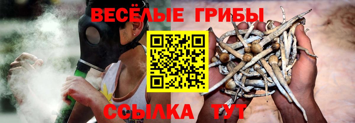 Псилоцибиновые грибы Magic Shrooms Ставрополь